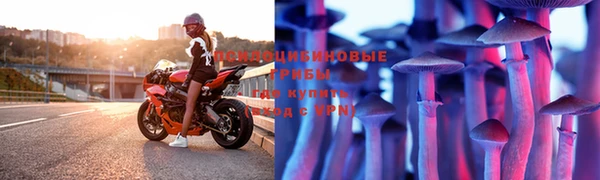 гидра Новозыбков