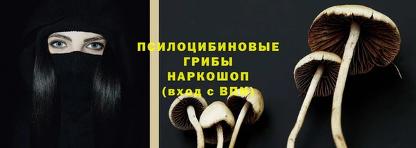 винт Баксан