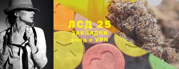 PSILOCYBIN Балабаново